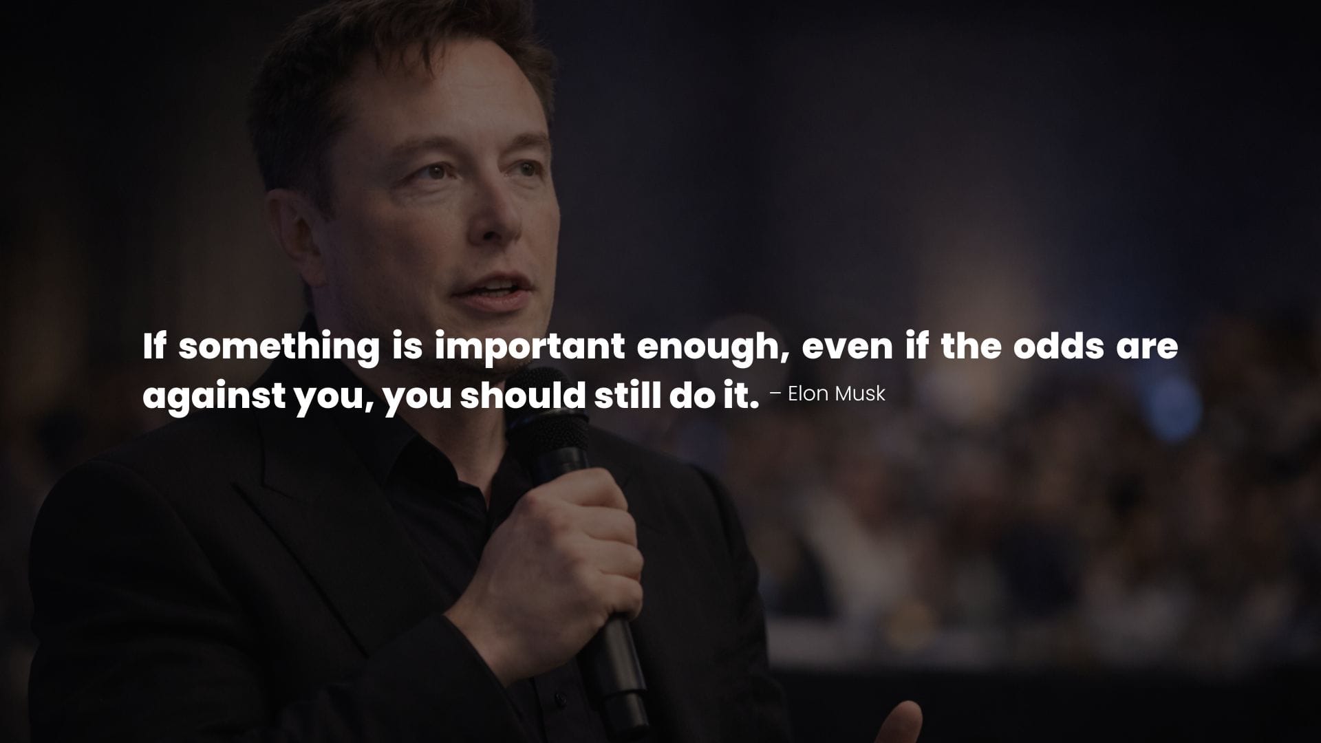 Elon Musk Portrait with a Inspirational Quote on Risk Taking